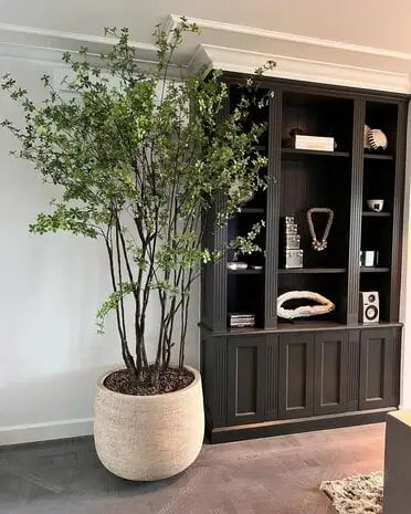 Domani Graz bloempot binnen met sierboom in stijlvolle woonkamer.