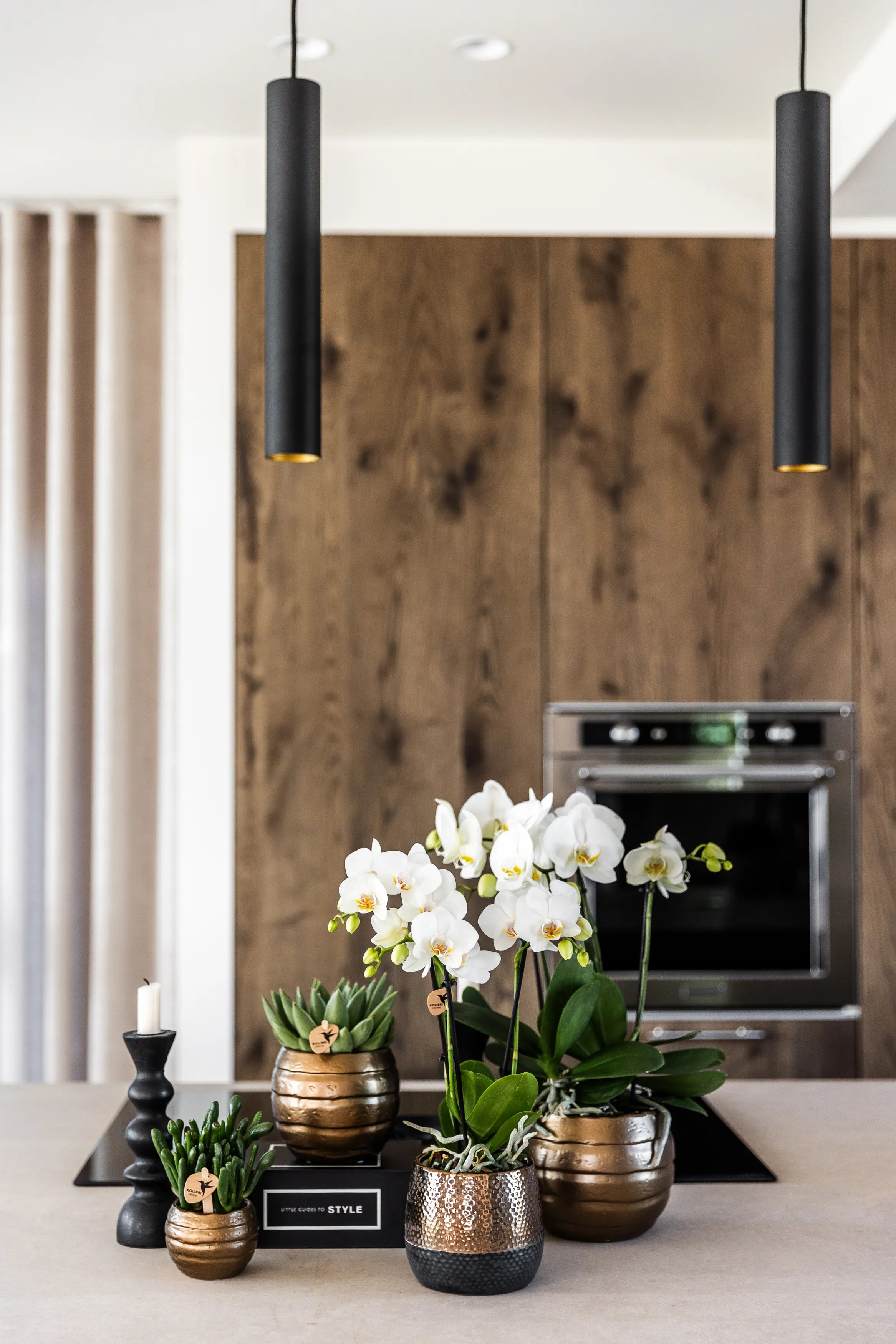 Kleine bloempotten voor binnen als decoratieve styling in modern interieur