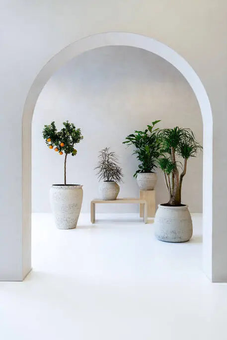 Pottery Pots Artemis bloempotten binnen in mediterrane stijl met kamerplanten.