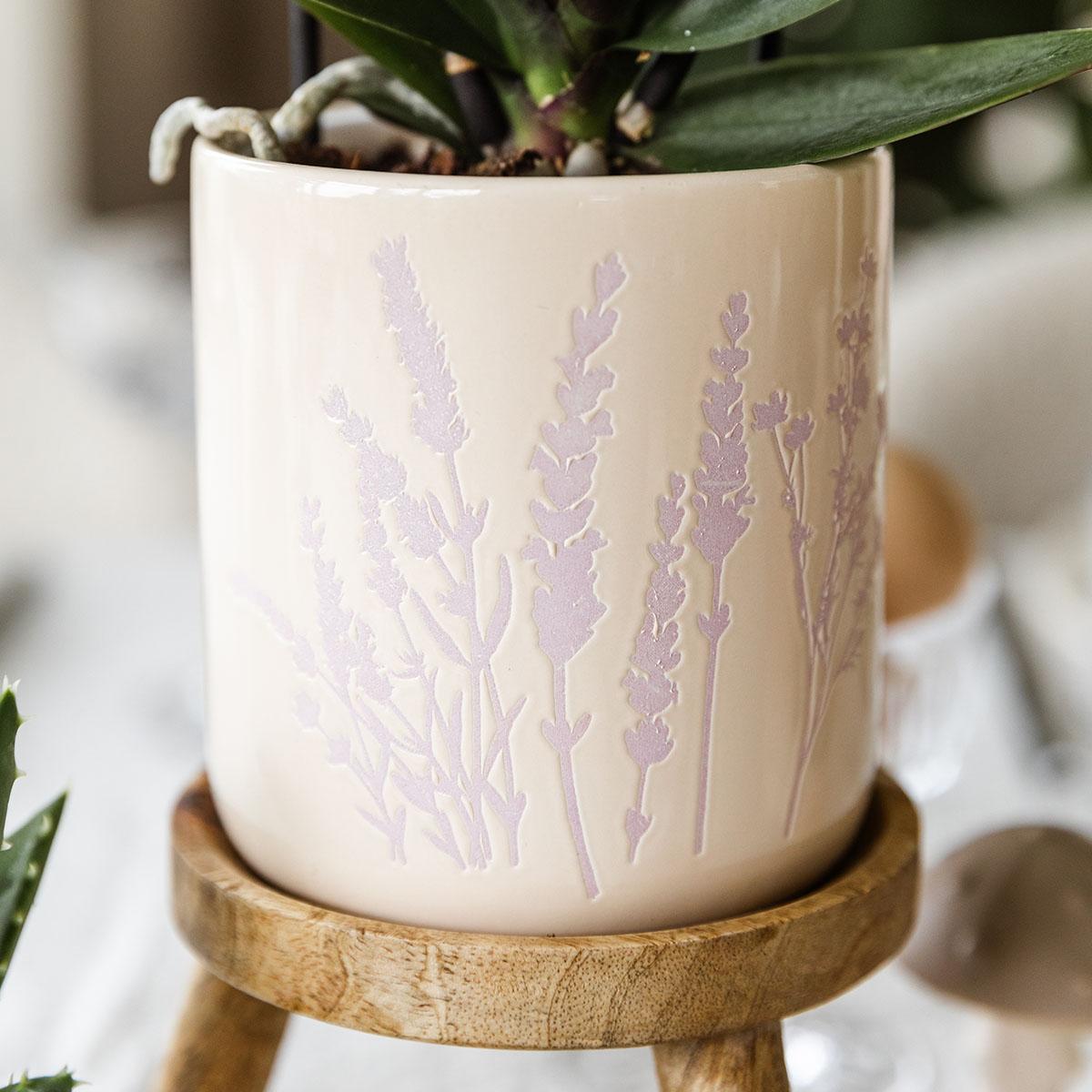 Orchidee | Roze orchidee Andorra + Floral sierpot lavendel - potmaat Ø9cm