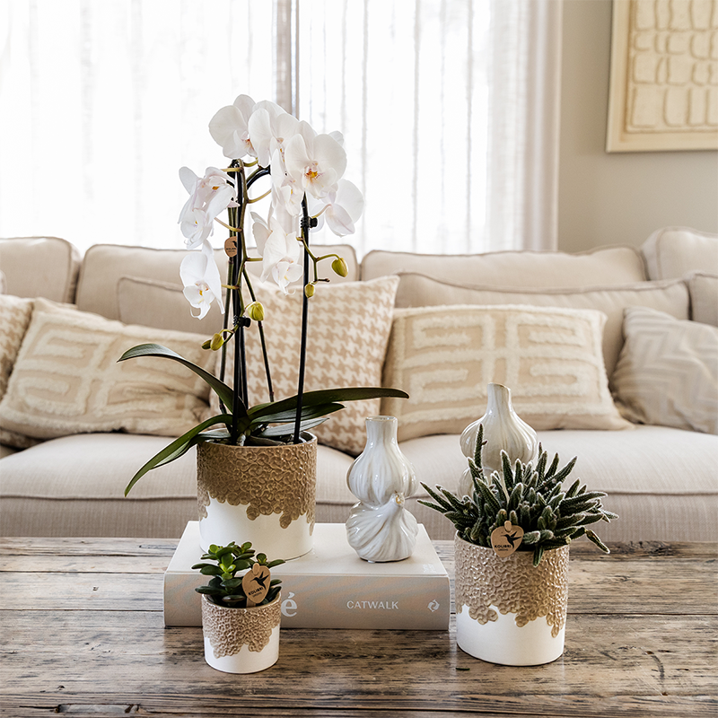 Kolibri Home | Bloom sierpot - Sand