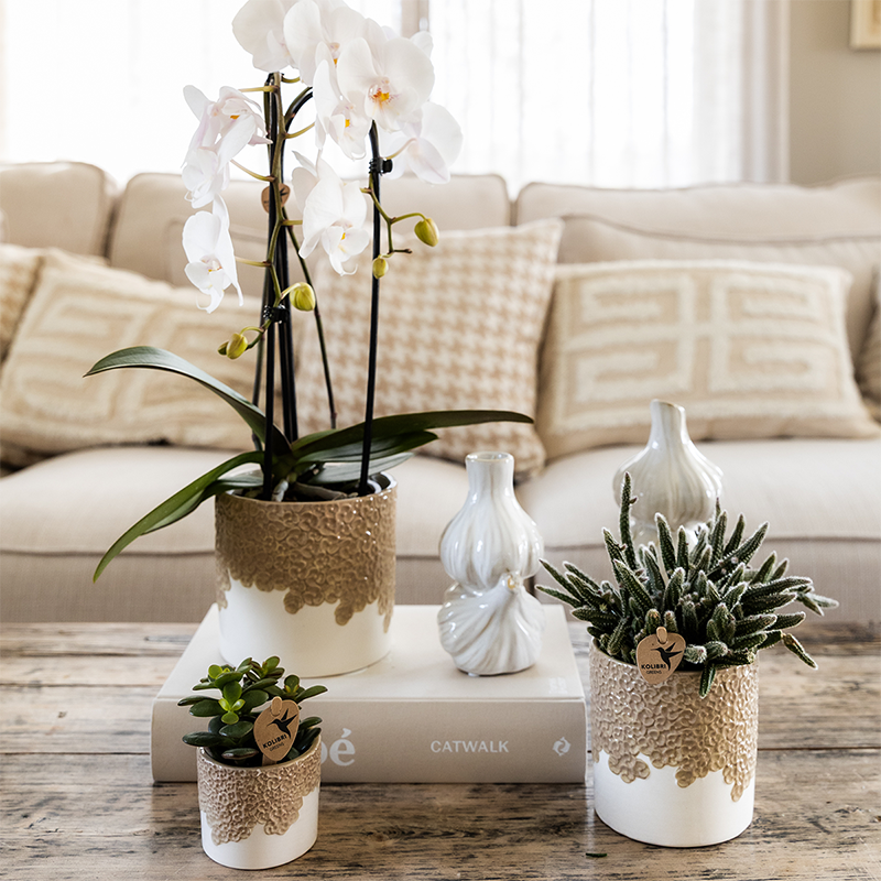 Kolibri Home | Bloom sierpot - Sand