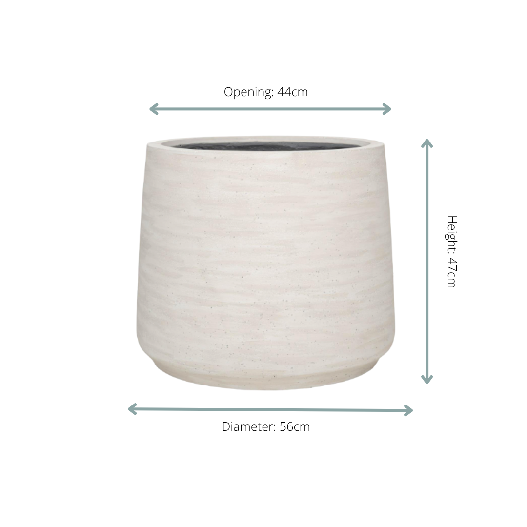 Jumbo Patt – Ivory Washed