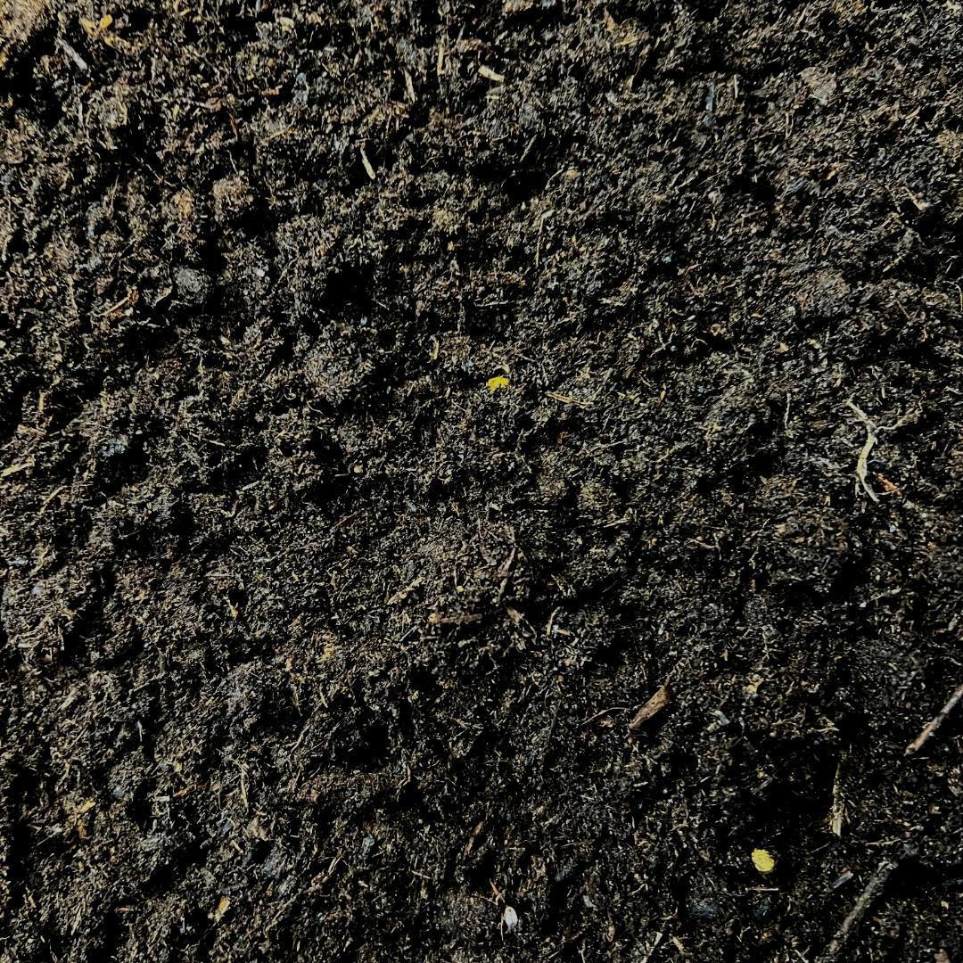 Culvita | Potgrond Speciaal 40 Liter - Premium Potgrond met EasyCoat Plantenvoeding voor Kamer- en Buitenplanten