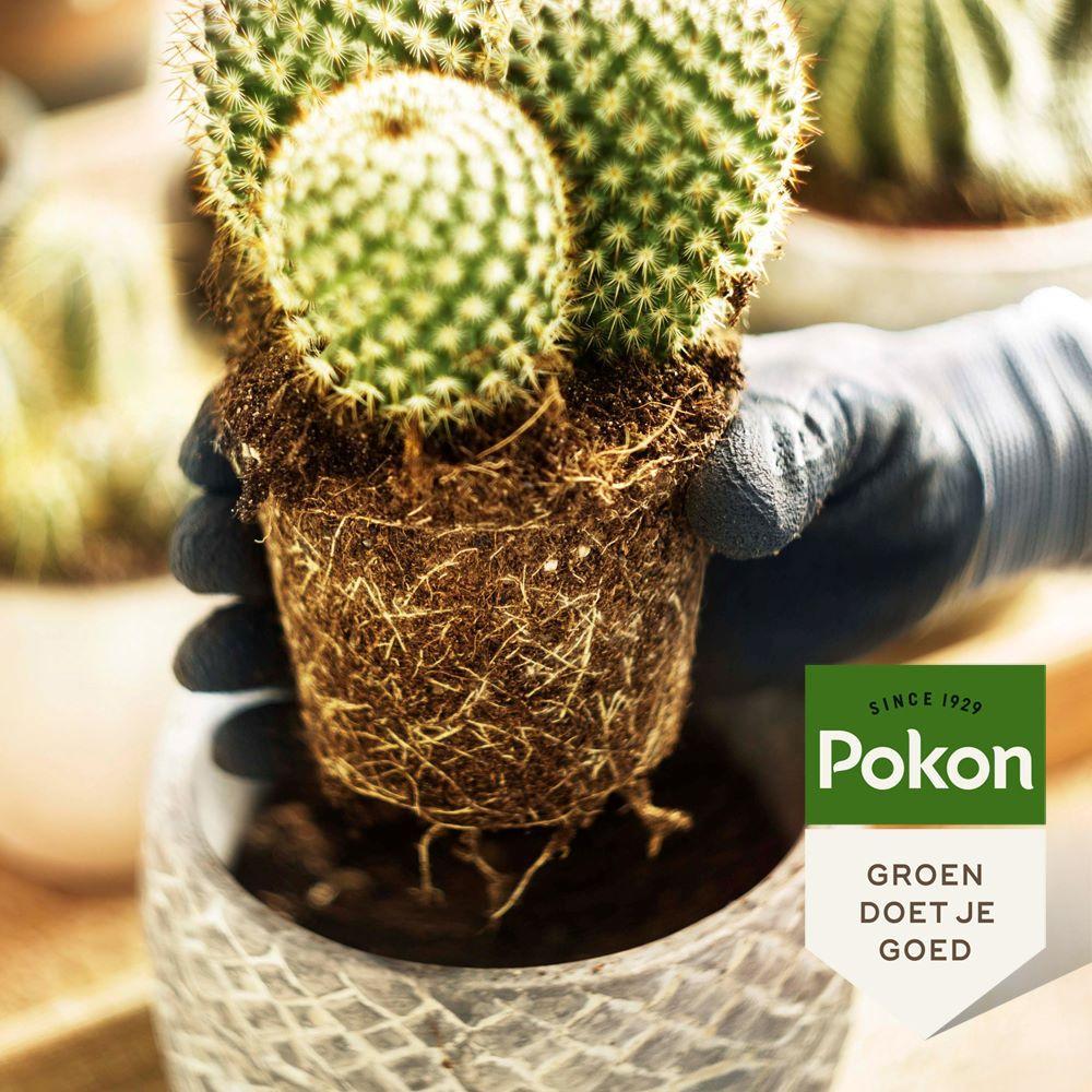 Pokon | Cactus Potgrond 5L