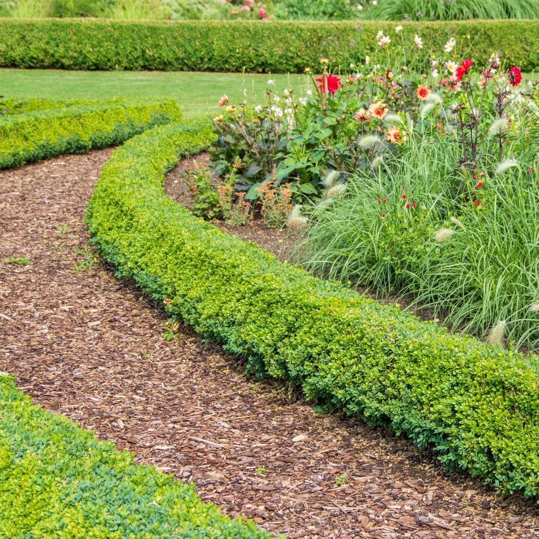 Culvita | Premium Franse Boomschors 30-40 mm - Sierschors voor Wandelpaden & Bodembedekking
